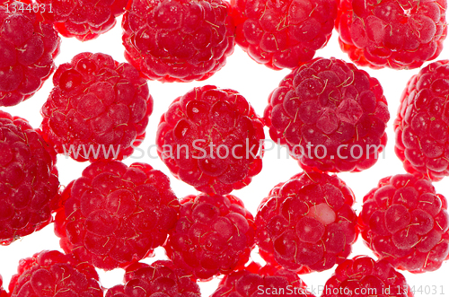 Image of Fresh raspberries