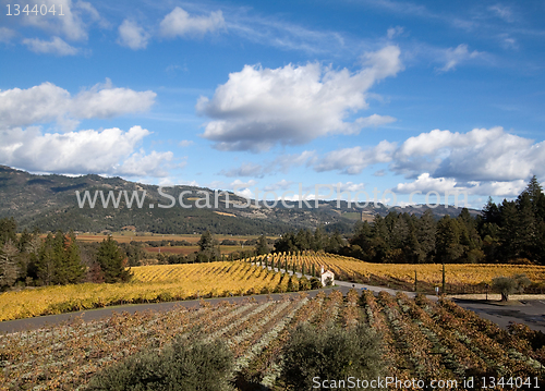 Image of Napa Valley