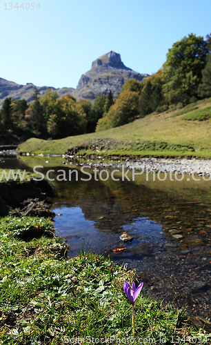 Image of Natural beauty