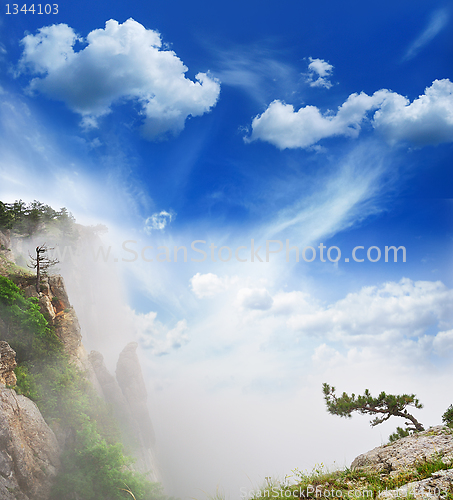 Image of path of the pioneer