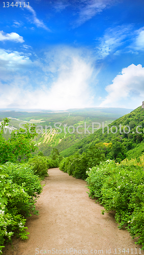 Image of picturesque alley