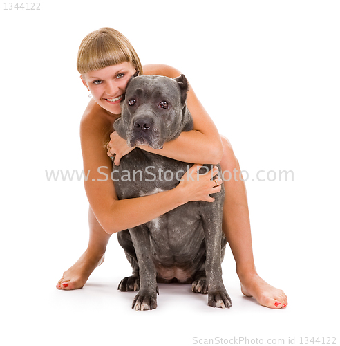 Image of  dog breed "Cane Corso"