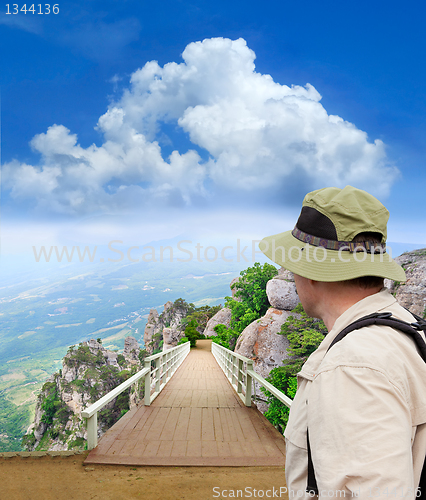 Image of tramp looking into scenic park wooden bridge