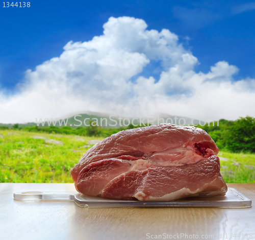Image of fresh pork (meat) 
