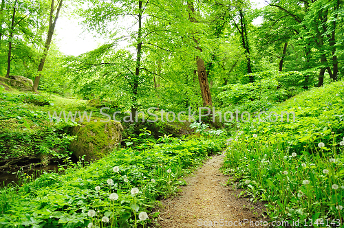 Image of picturesque park avenue