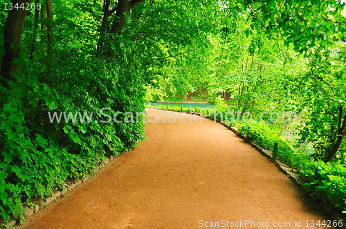 Image of winding path