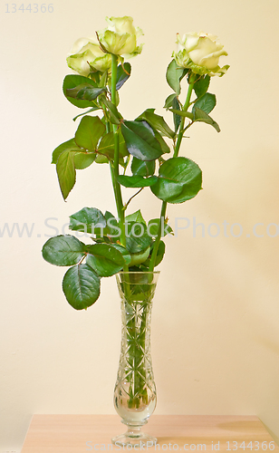 Image of bouquet of fresh roses 