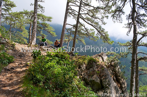 Image of footpath in the picturesque mountains 