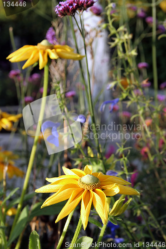 Image of Flowers