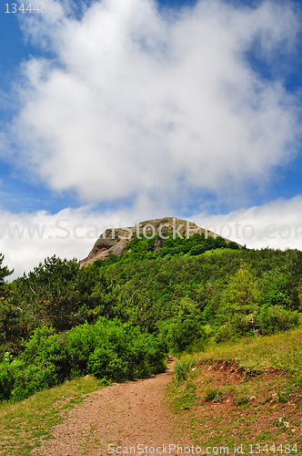 Image of path of the pioneer
