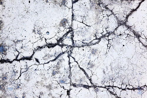 Image of scenic crack in concrete