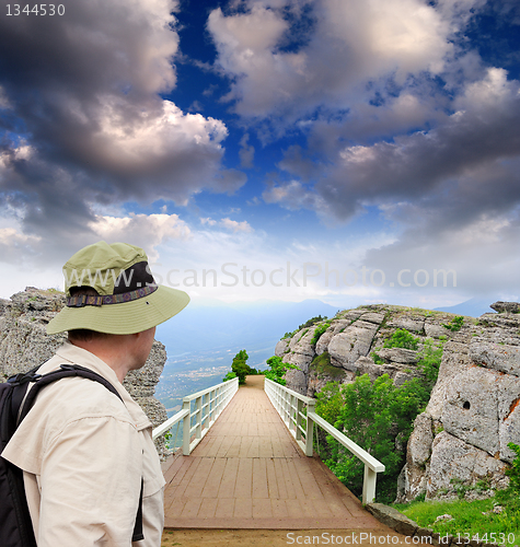 Image of scenic park wooden bridge