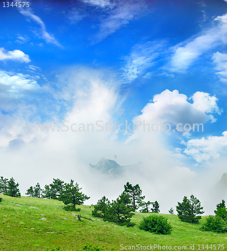 Image of path of the pioneer