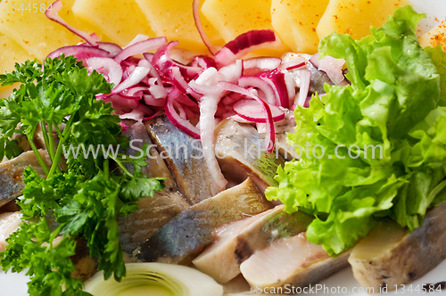 Image of Still Life with herring (salted fish)