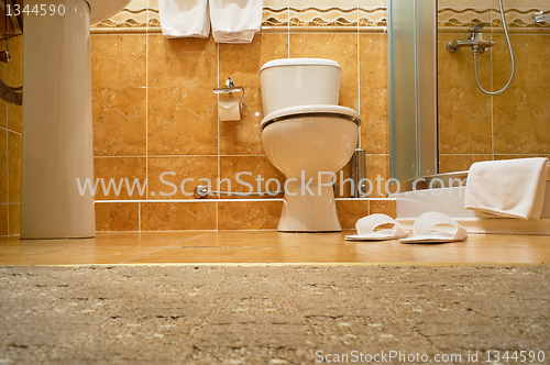 Image of  WC, bathrobe, shower cubicle.