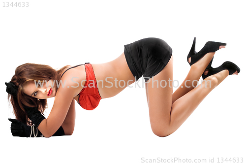 Image of Attractive woman on all fours