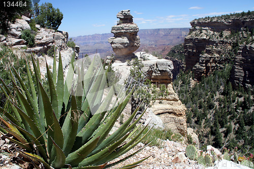 Image of Grand Canyon