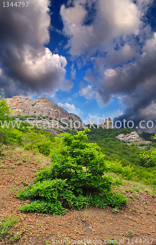 Image of path of the pioneer