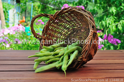 Image of asparagus in a wicker 
