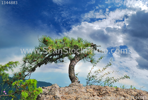 Image of  view from the mountains