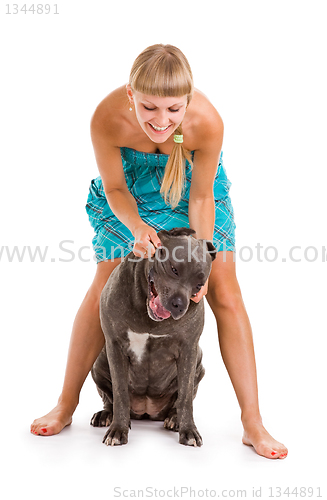 Image of  dog breed "Cane Corso"