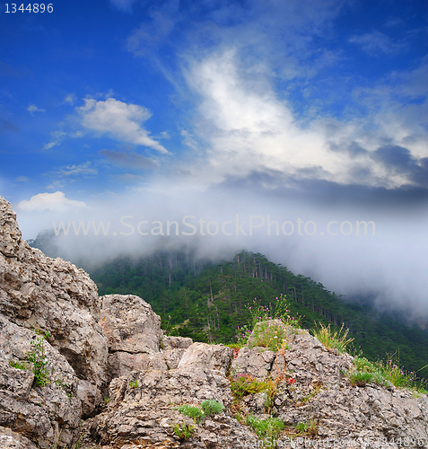 Image of path of the pioneer