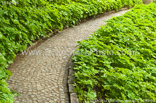 Image of picturesque alley