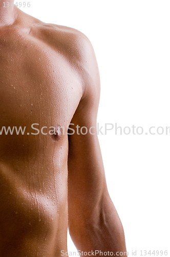 Image of shoulder and arm naked male body