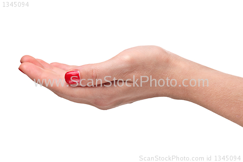 Image of hand