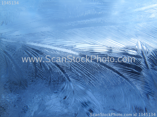 Image of frosty natural pattern