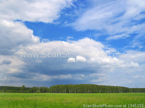 Image of summer landscape