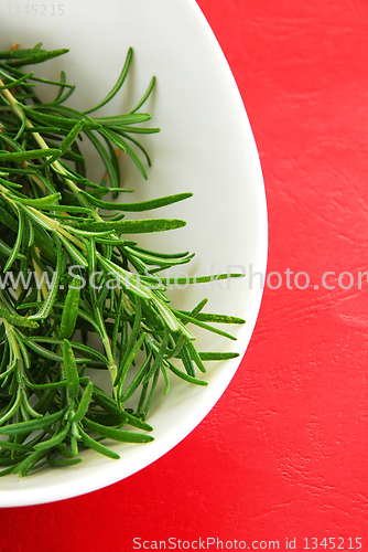 Image of Rosemary