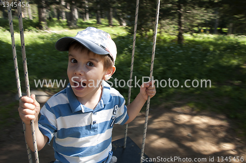 Image of Boy on swing in forest