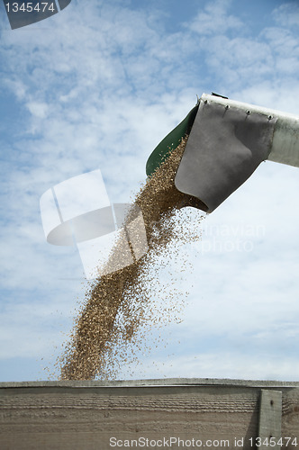 Image of Tractor and combine harvested 