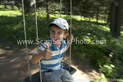 Image of Boy on swing in forest