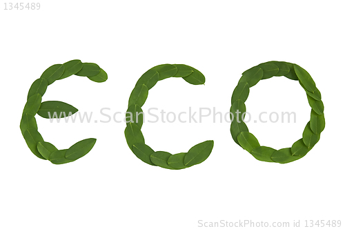 Image of Eco text