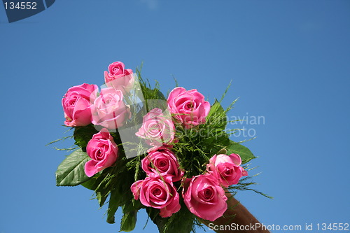 Image of Lovely roses