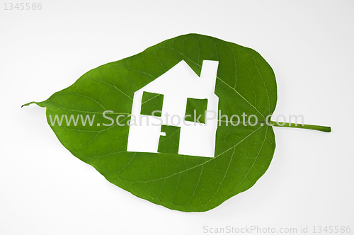 Image of Leaf cutted house. Real estate