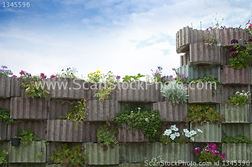 Image of Flowers on wall