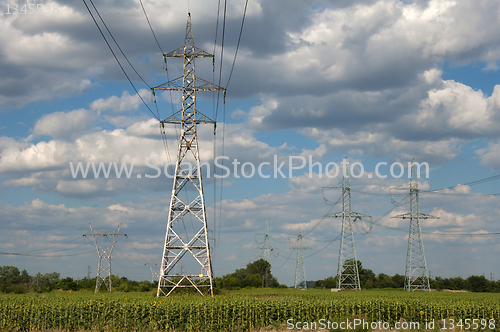 Image of Metal electric poles