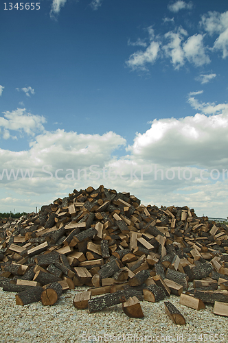 Image of Stack of freshly cut trees 
