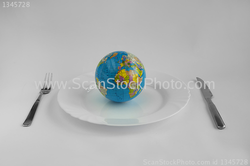 Image of Globe in a plate 
