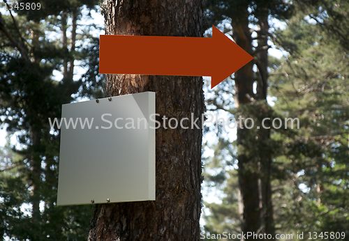 Image of Arrow and sign on tree in forest.