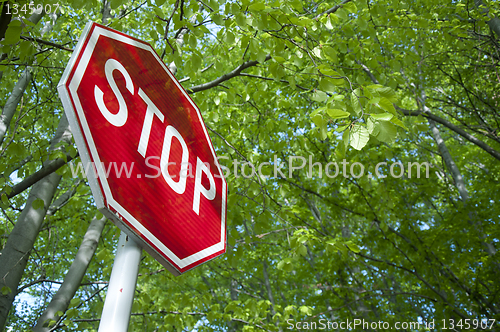 Image of Stop in forest
