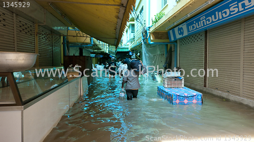 Image of Monsoon season in Ayuttaya, Thailand 2011