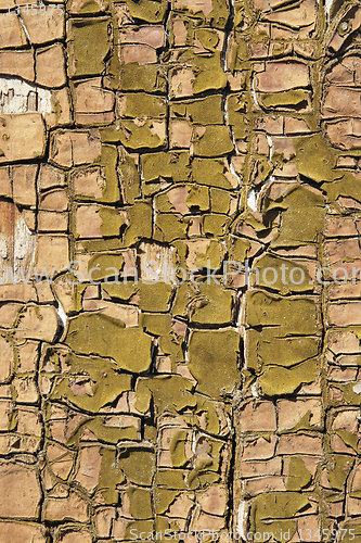 Image of Old Paints on Wood