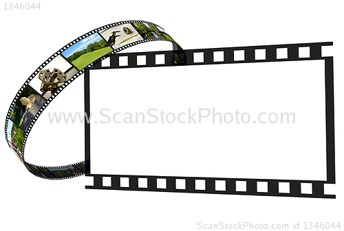 Image of Frames of film and blank frame