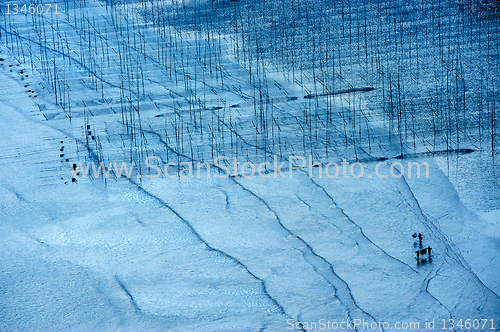 Image of Fishermen near the seaweed farm