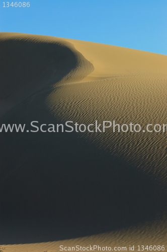 Image of Desert detail