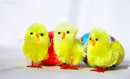 Image of Three Easter Chicken